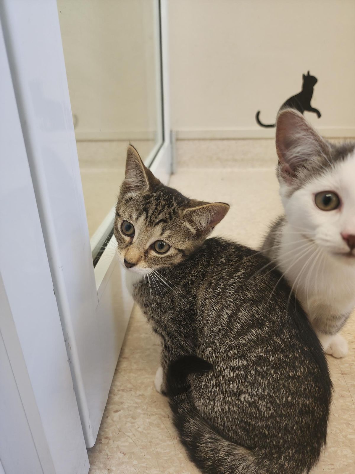 Gallery image: Flower