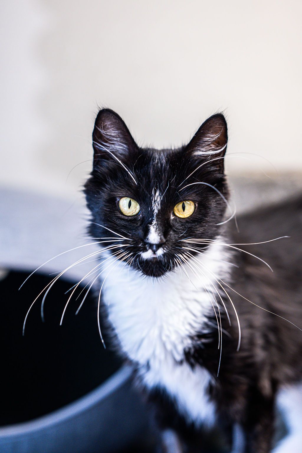 Gallery image: Blake