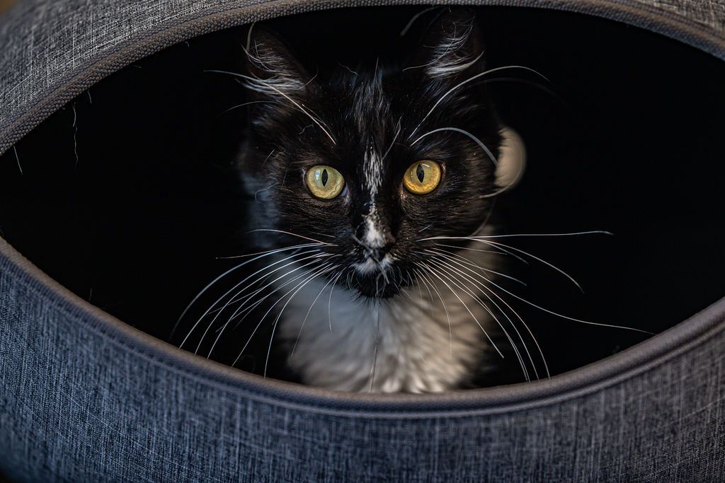 Gallery image: Blake