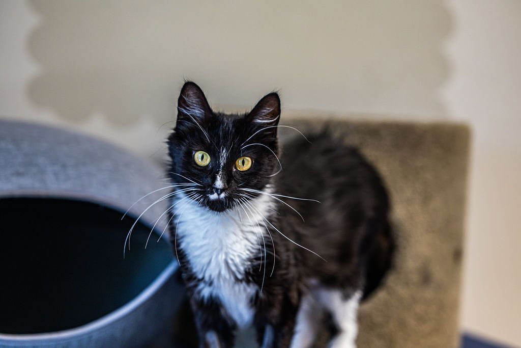 Gallery image: Blake