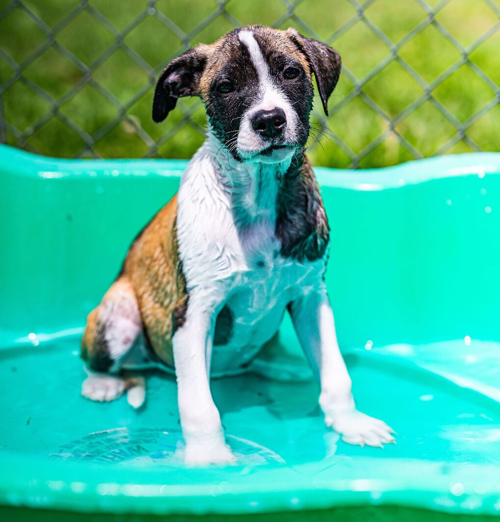 Gallery image: Tessa