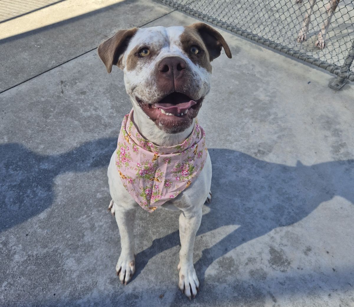 Gallery image: Bubbles