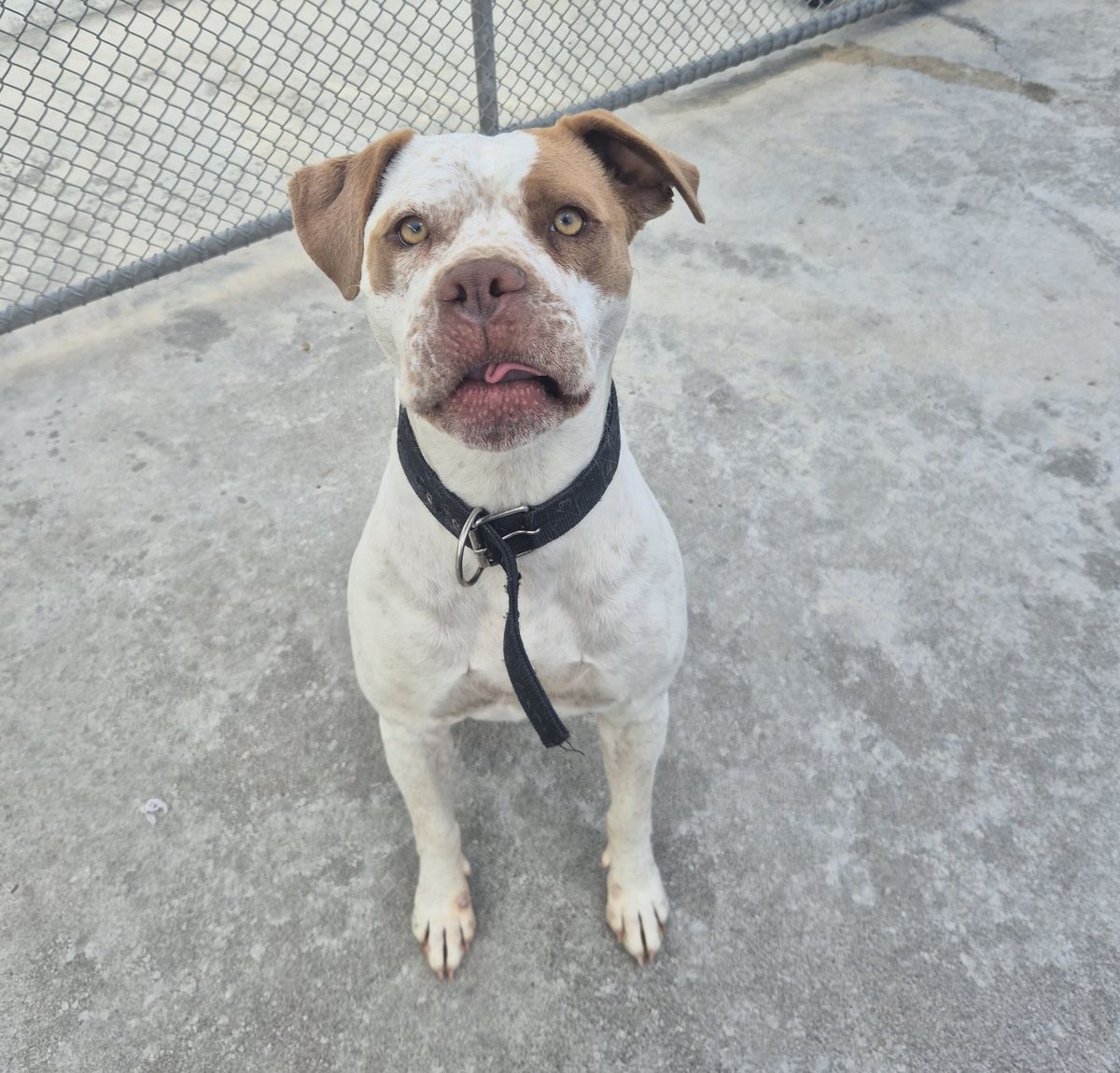 Gallery image: Bubbles