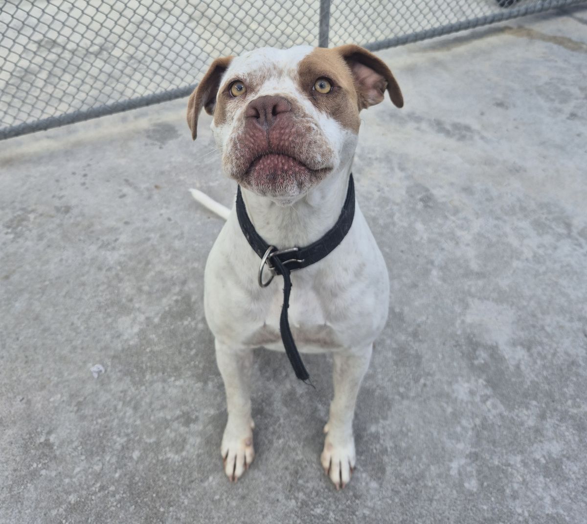 Gallery image: Bubbles