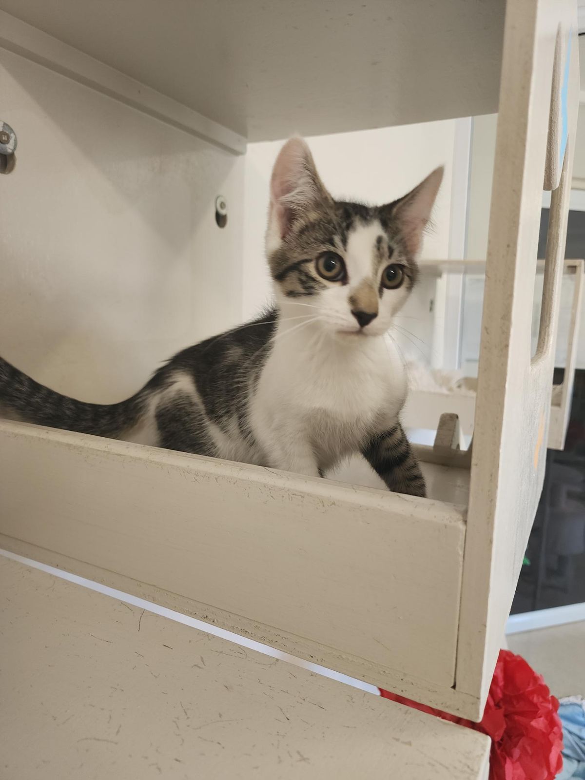 Gallery image: Summit