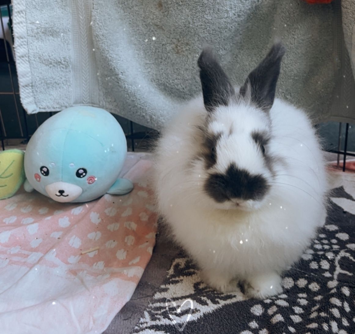 Gallery image: Hamish 