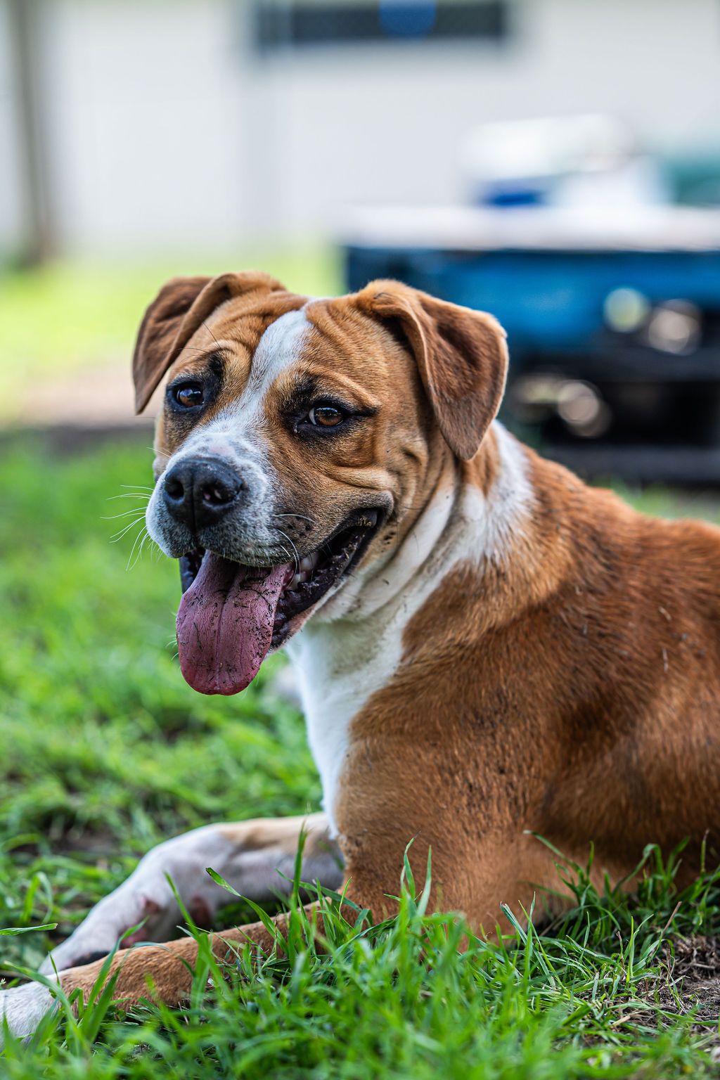 Gallery image: Boston