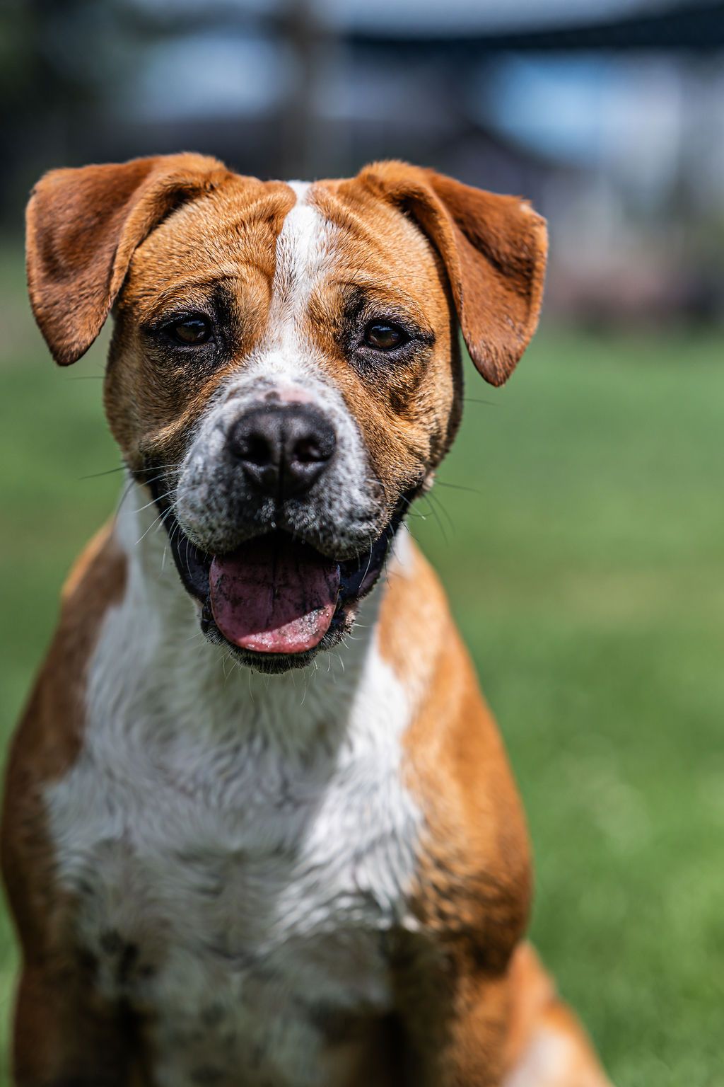 Gallery image: Boston