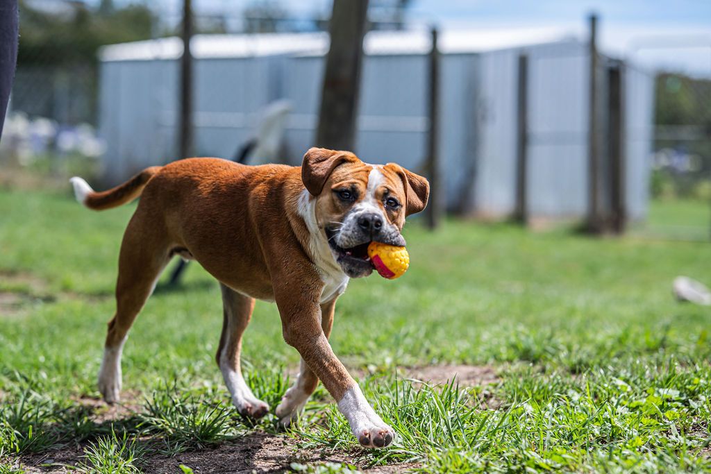 Gallery image: Boston