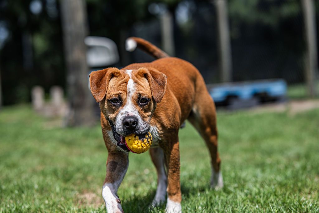 Gallery image: Boston