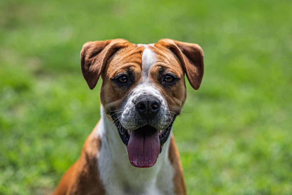 Gallery image: Boston