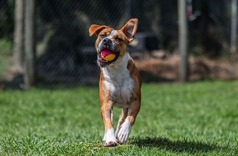 Gallery image: Boston