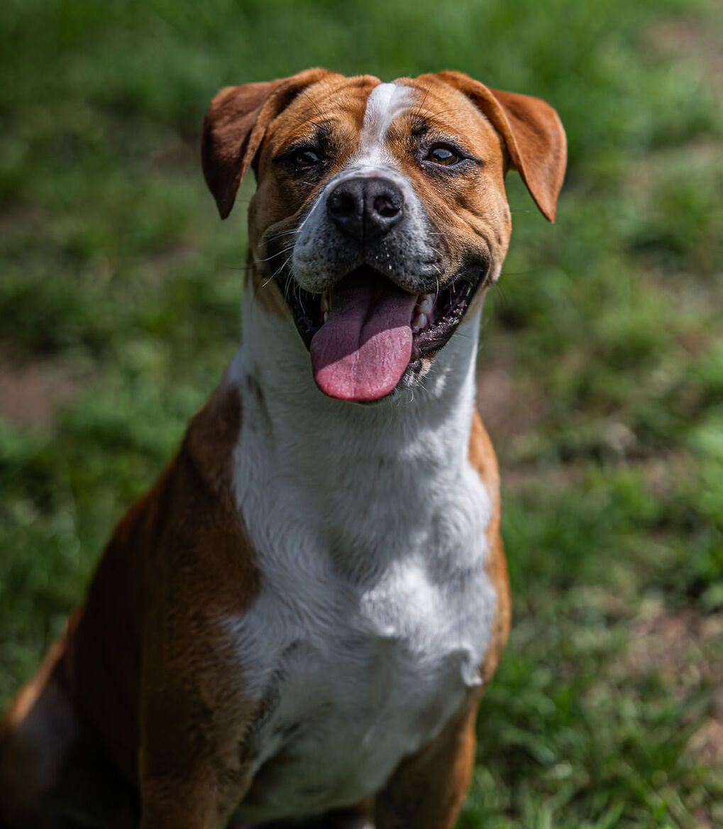 Gallery image: Boston