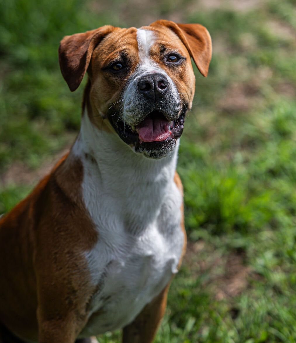 Gallery image: Boston