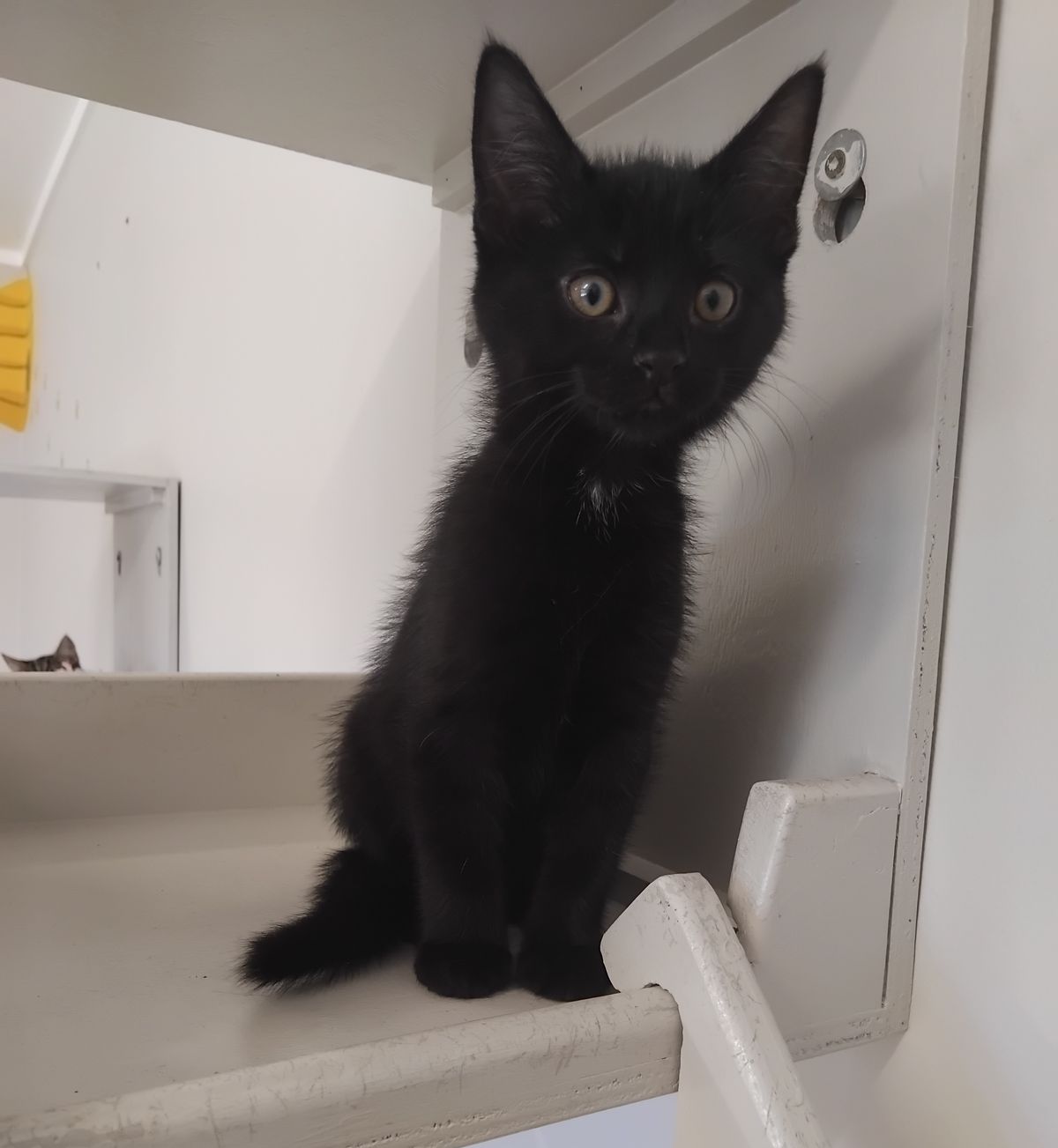 Gallery image: Buggs