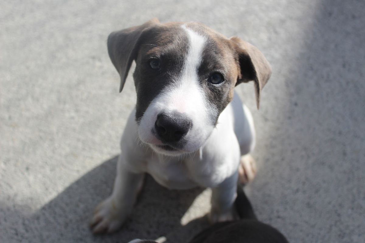 Gallery image: Aphrodite