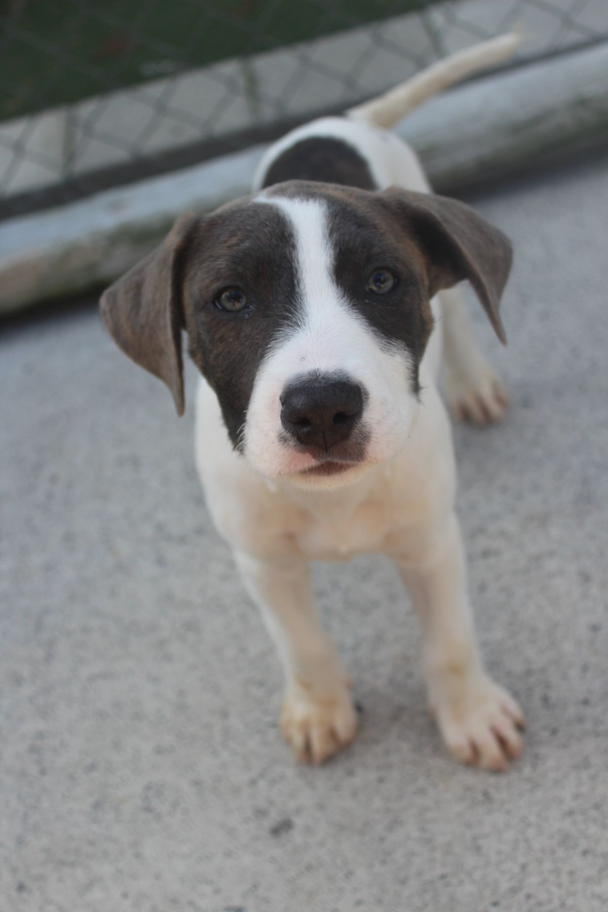 Gallery image: Aphrodite