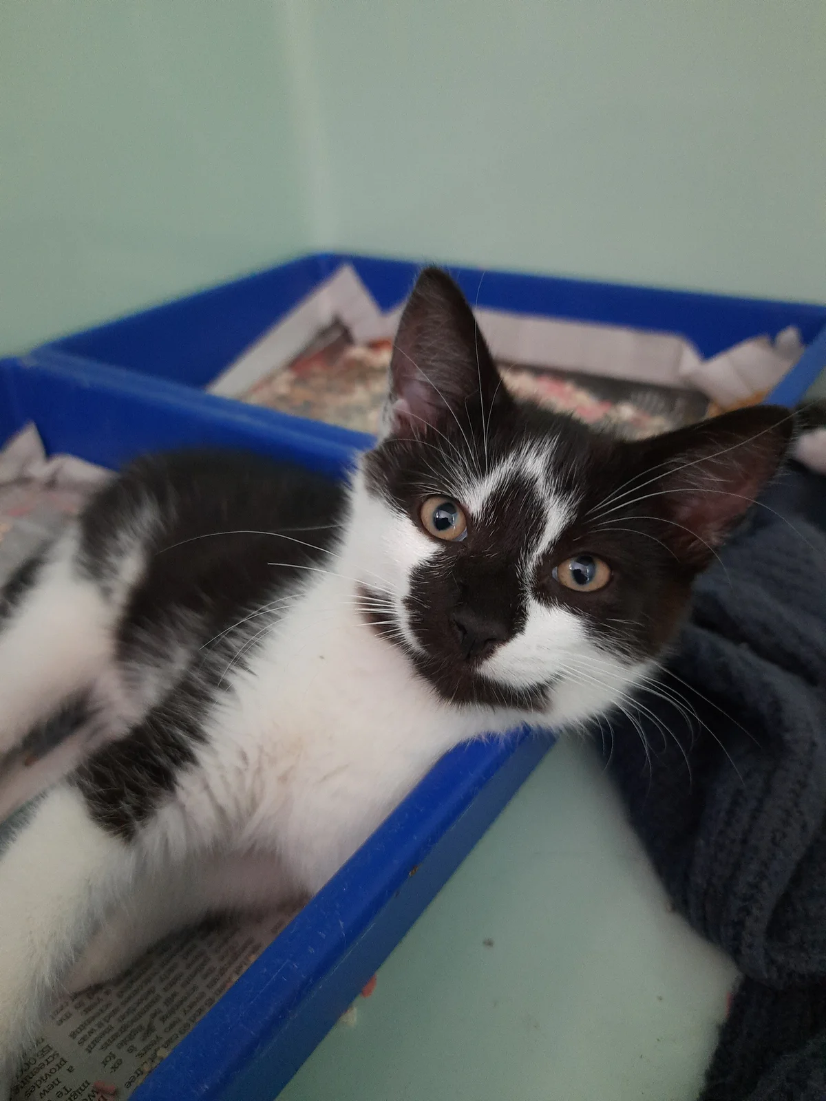 Gallery image: Checkers