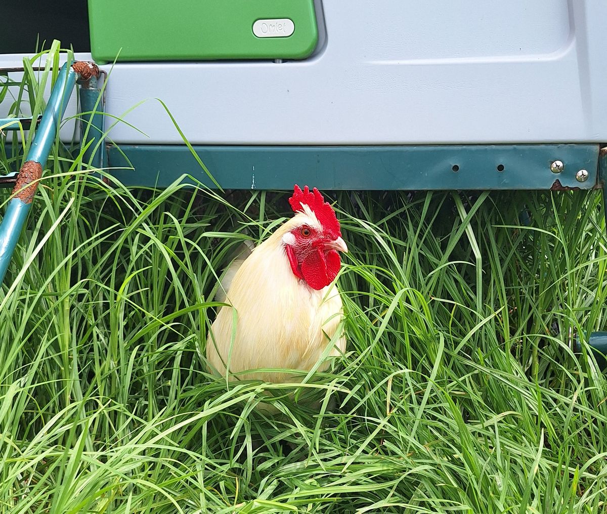 Gallery image: Junior