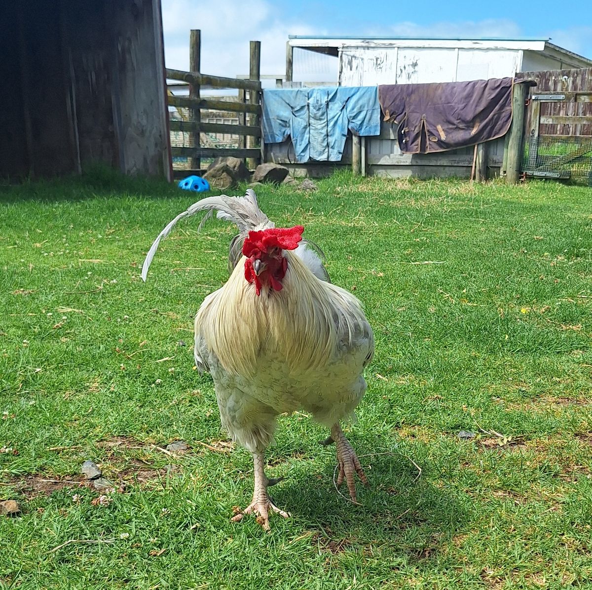 Gallery image: Justin Beaker