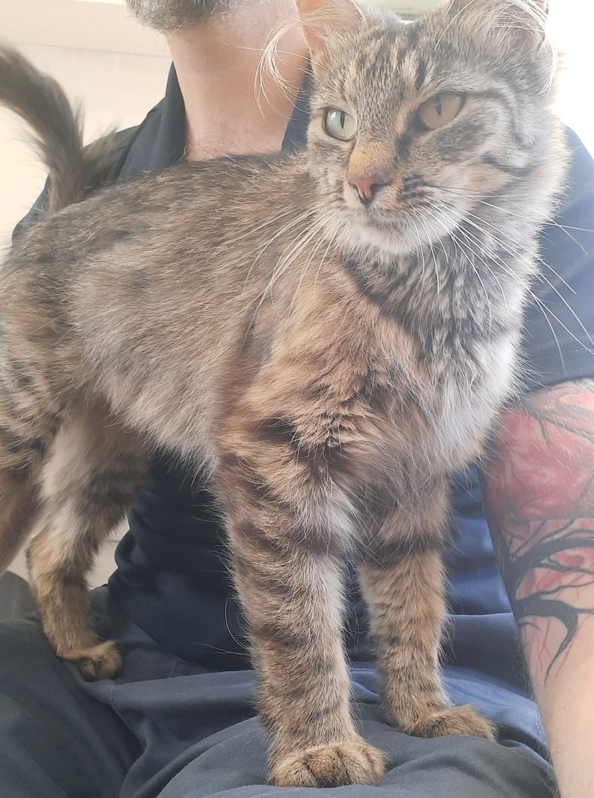 Gallery image: Madaline