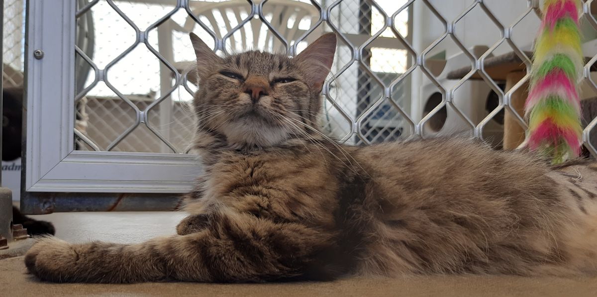 Gallery image: Madaline