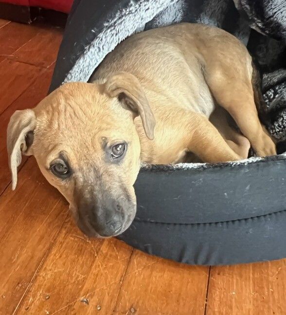 Gallery image: Christie