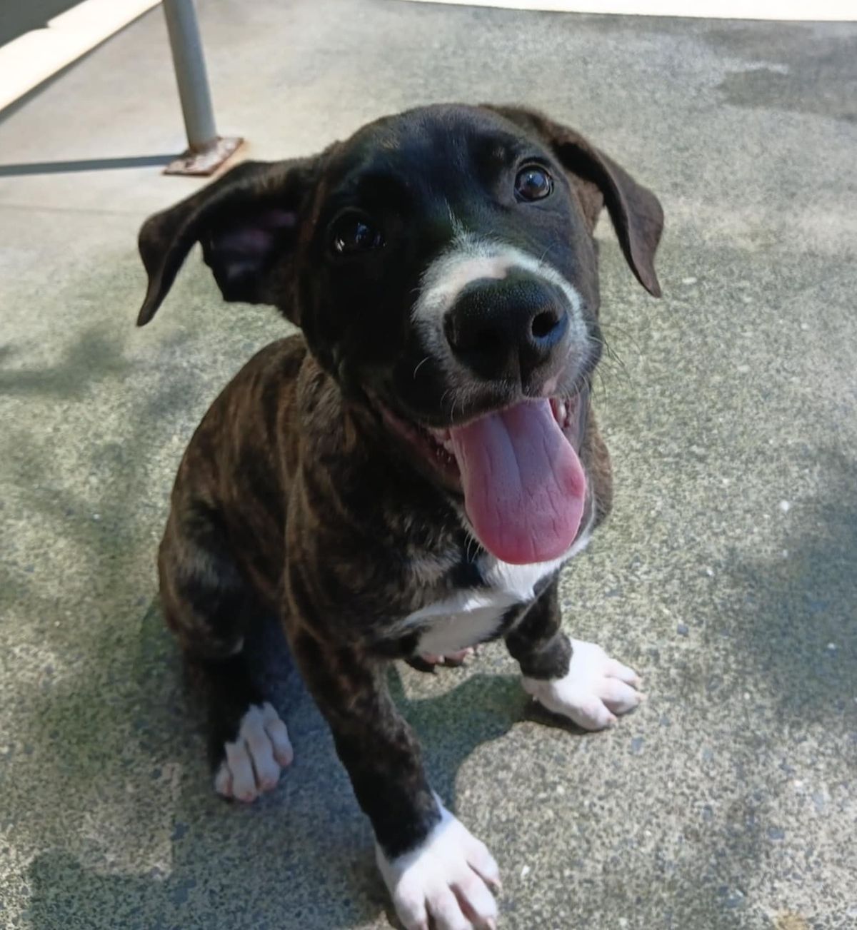 Gallery image: Scrooge