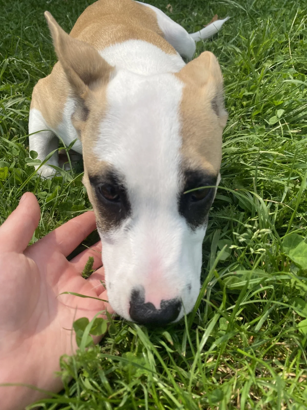 Gallery image: Sandy 