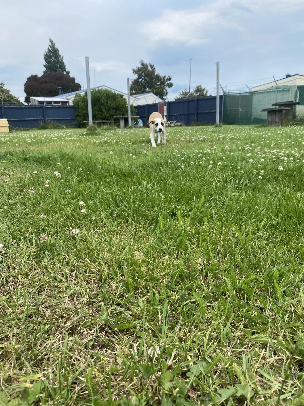 Gallery image: Sandy 