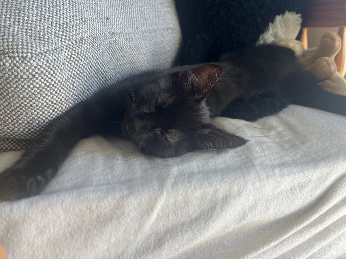 Gallery image: Amethyst 