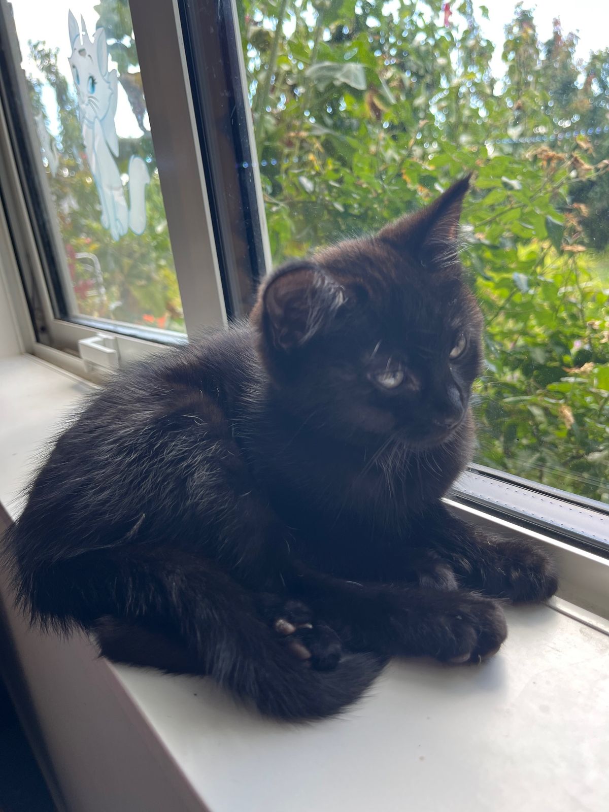 Gallery image: Amethyst 