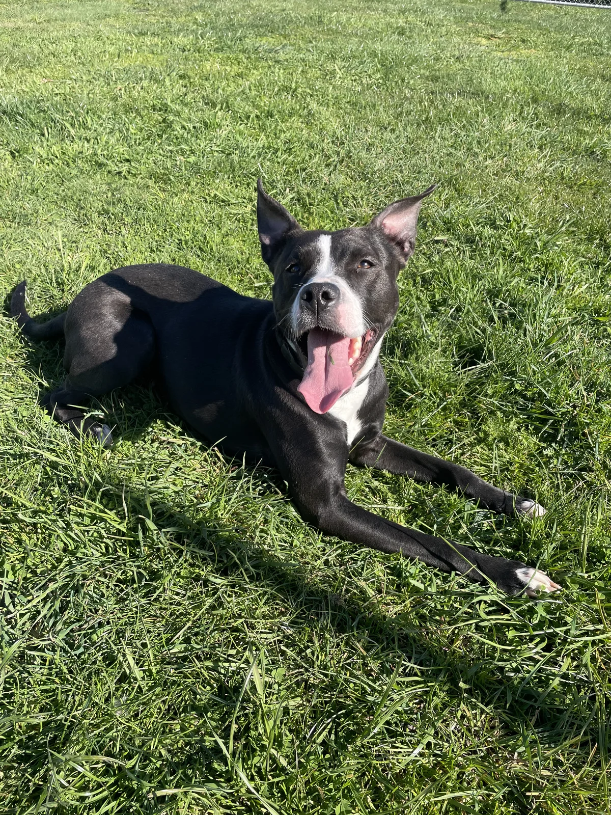 Gallery image: Lottie