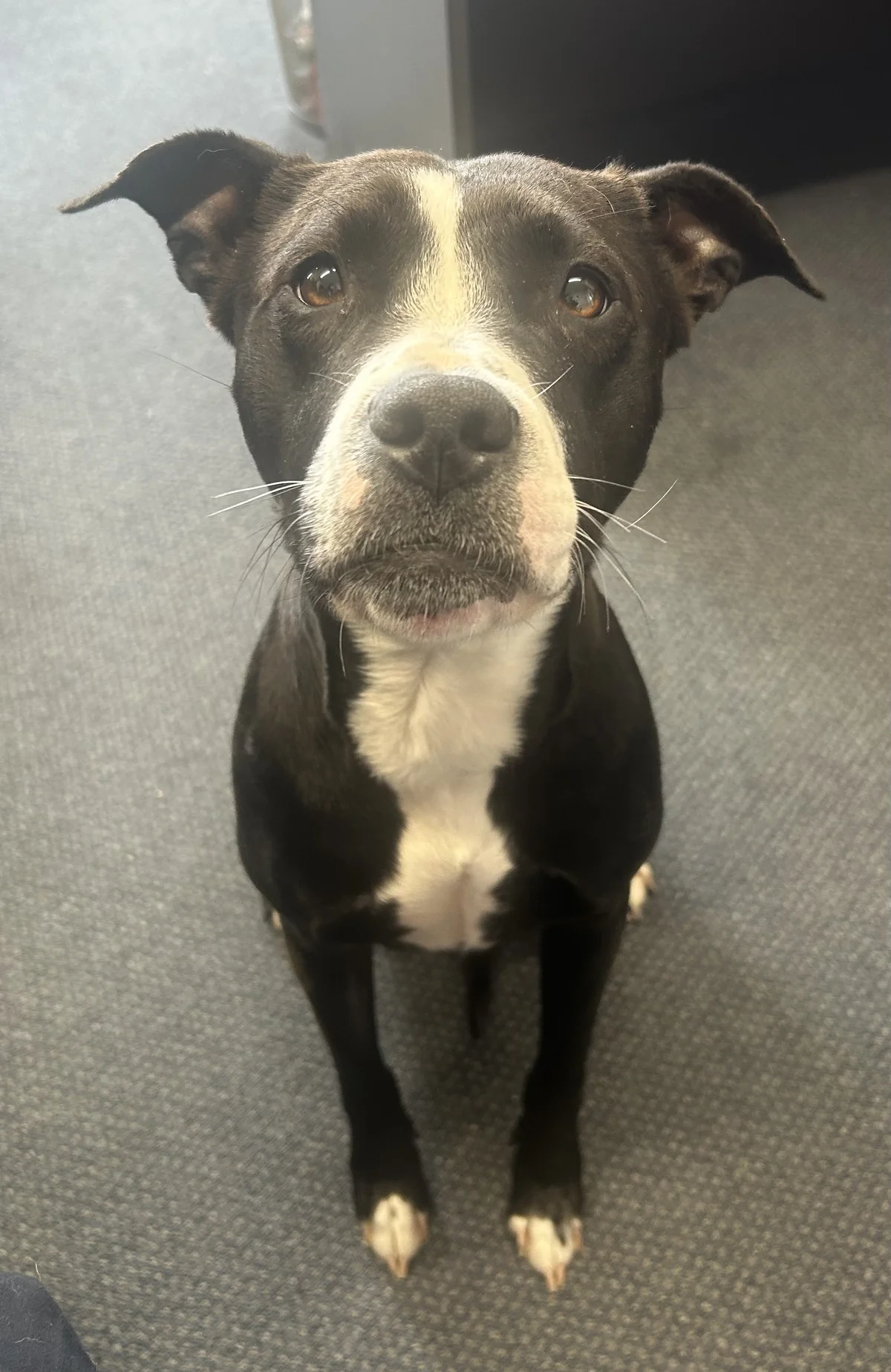 Gallery image: Lottie