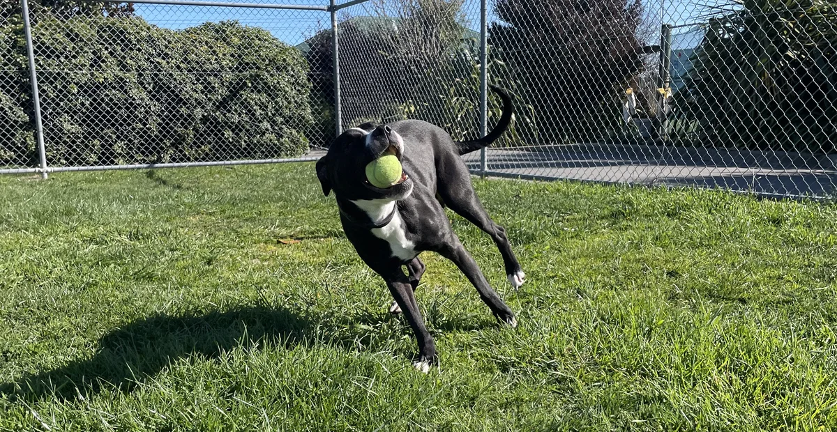 Gallery image: Lottie