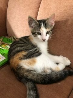 Gallery image: Samantha