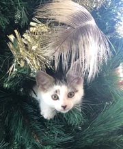 Gallery image: Charlotte