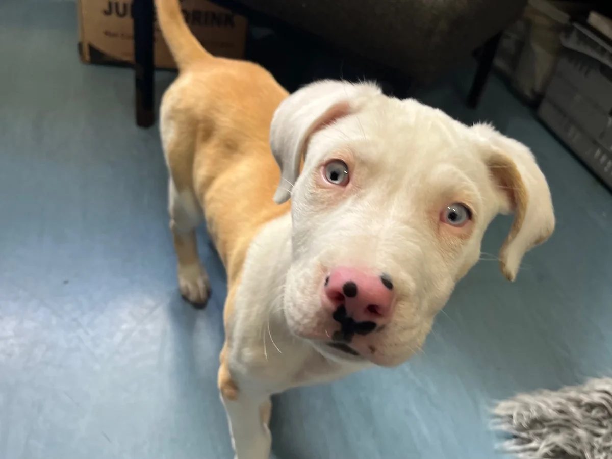 Gallery image: Albie