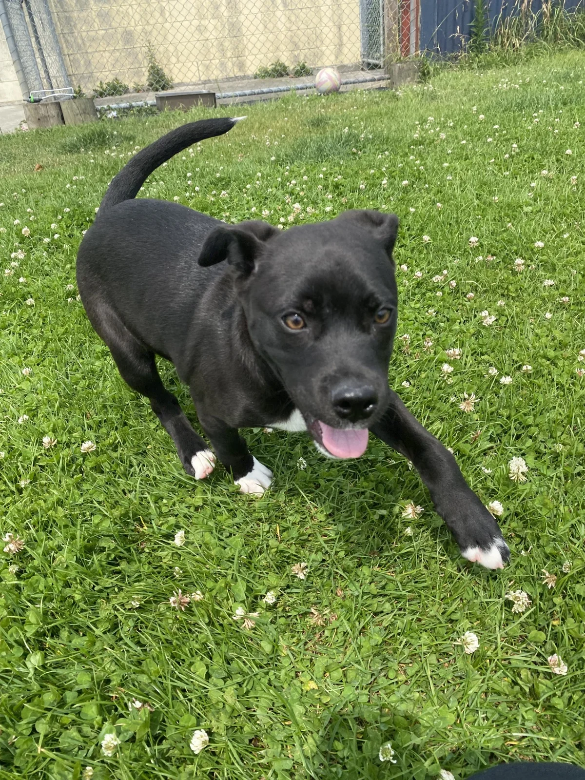 Gallery image: Holly 