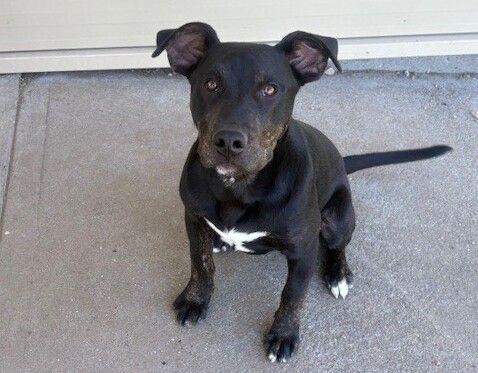 Gallery image: Junior