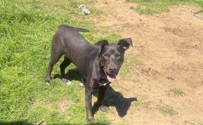 Gallery image: Junior