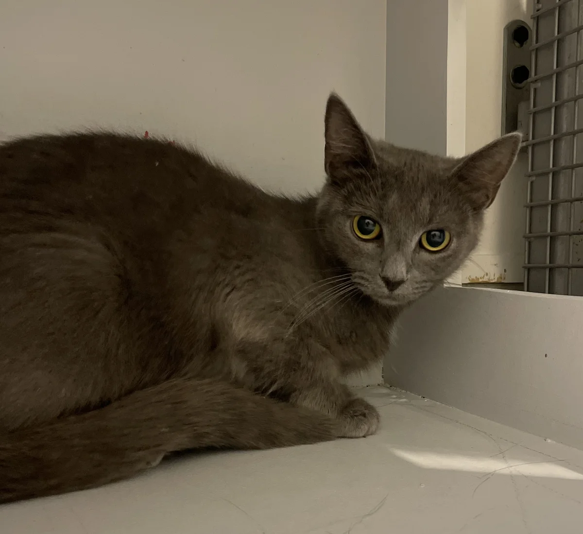 Gallery image: Persephone