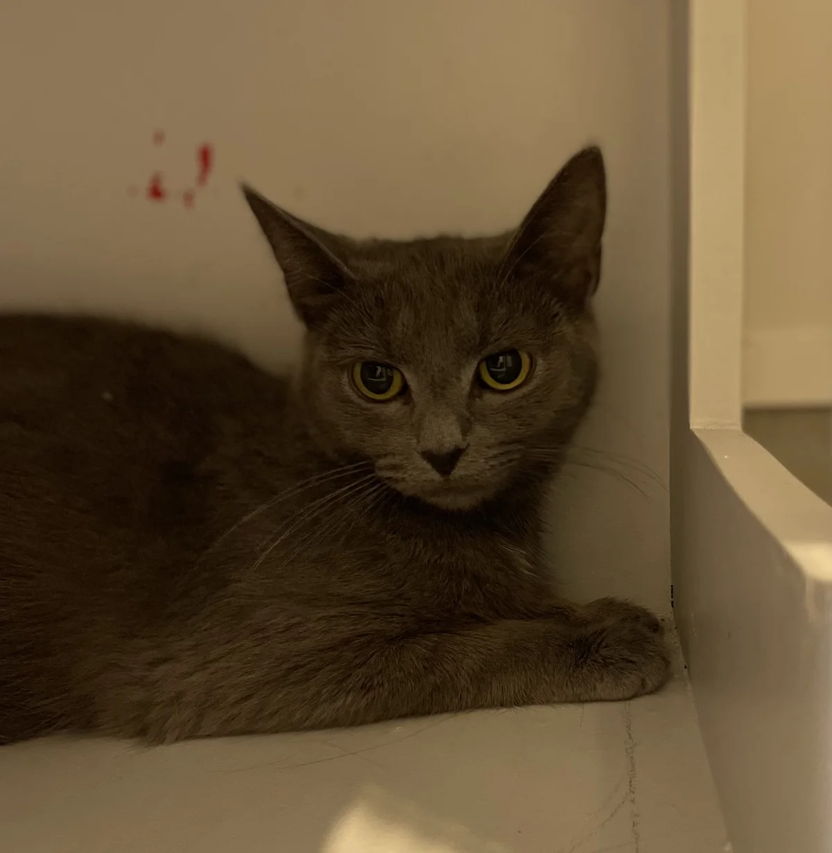 Gallery image: Persephone