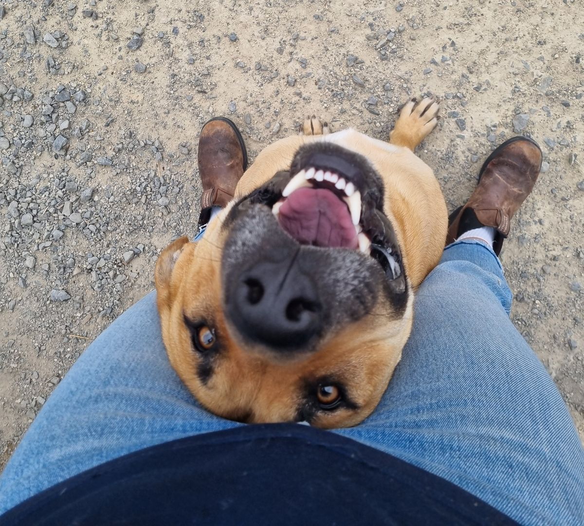 Gallery image: Chase