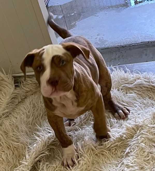 Gallery image: Boston