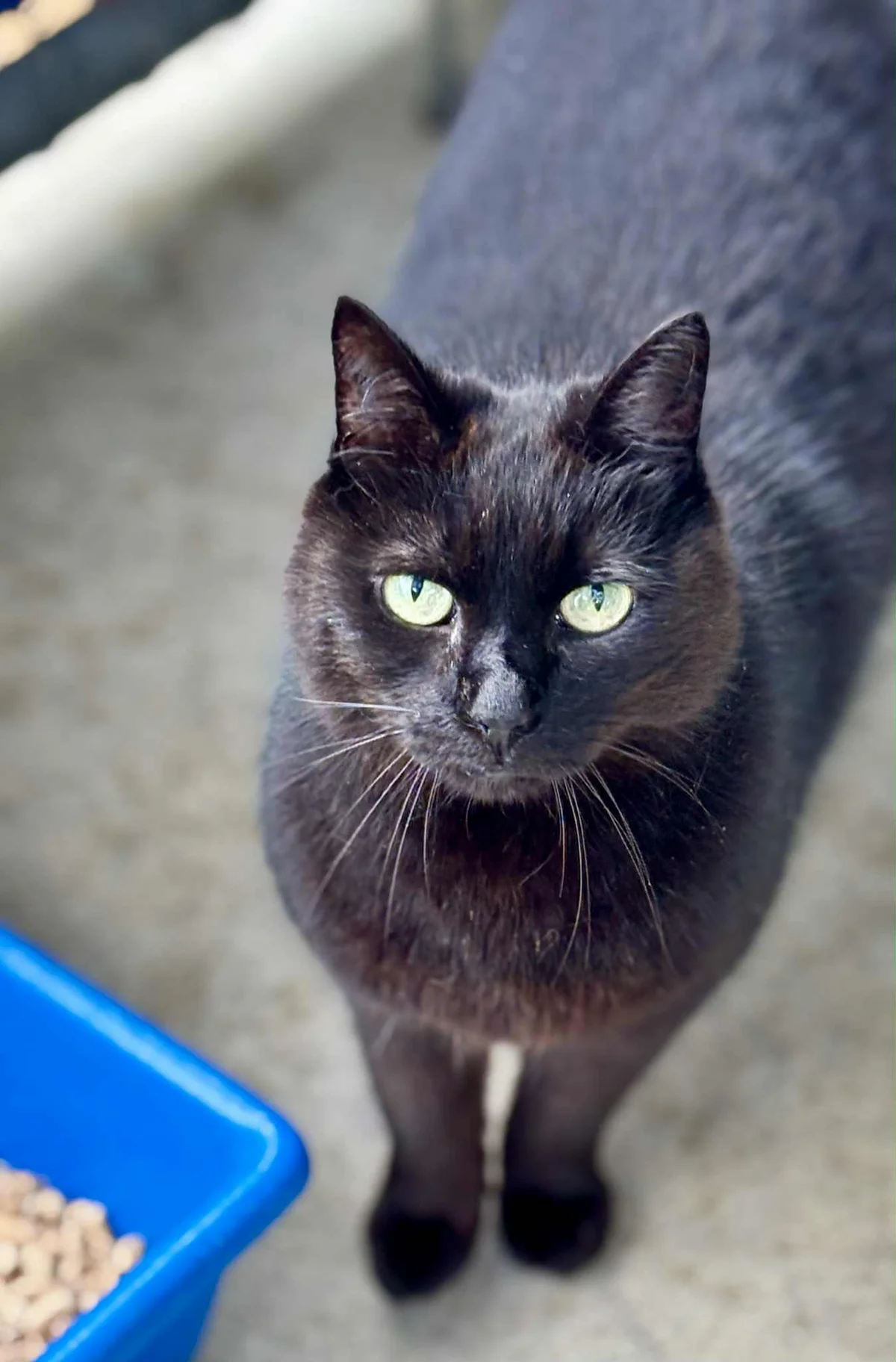 Gallery image: Miss Gummy