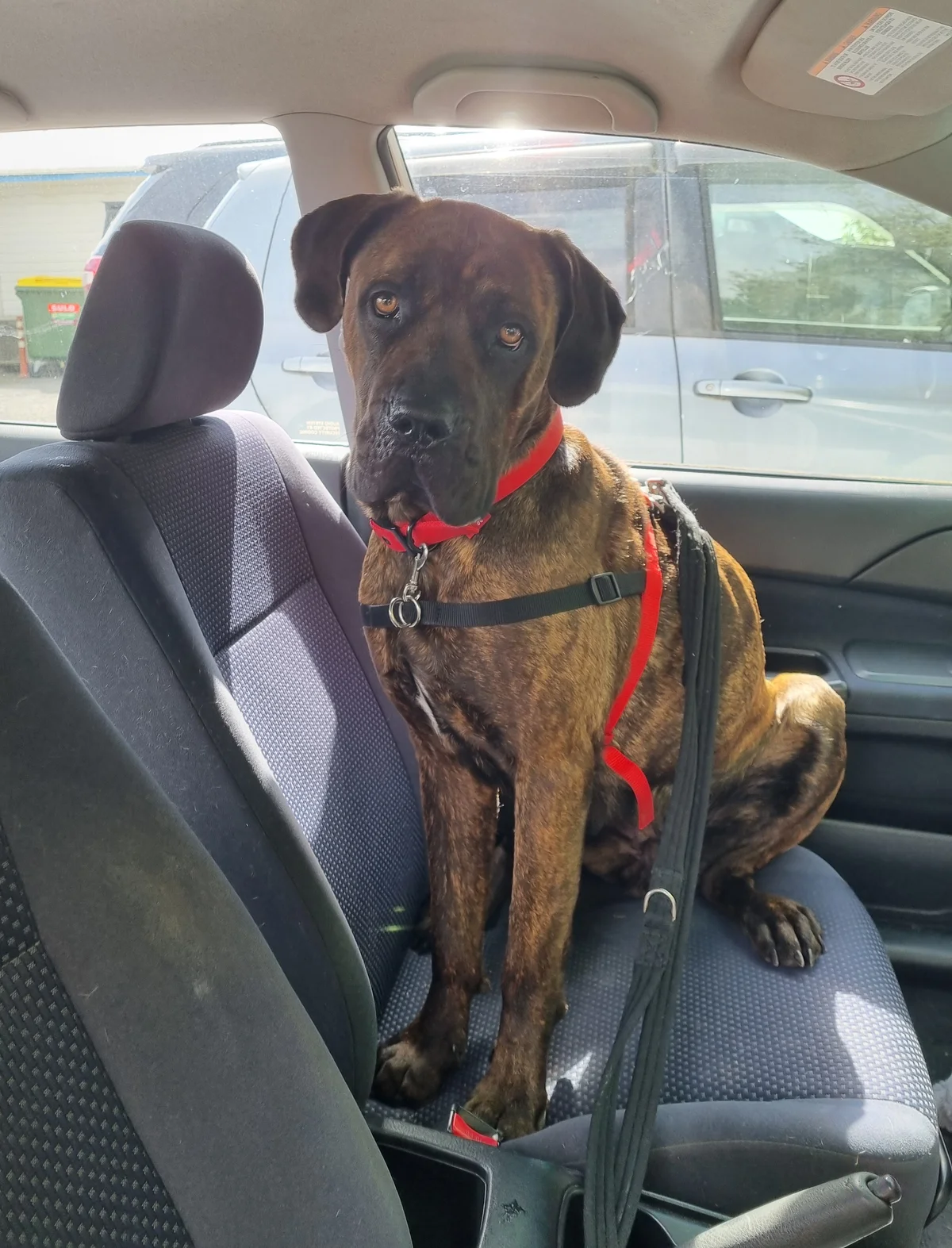 Gallery image: Zaria