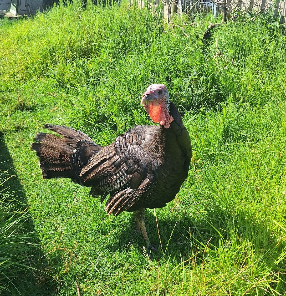 Gallery image: Celine