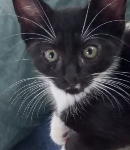 Gallery image: Monnaco