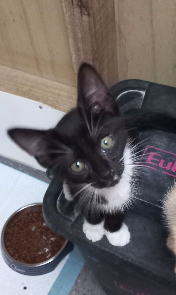 Gallery image: Monnaco